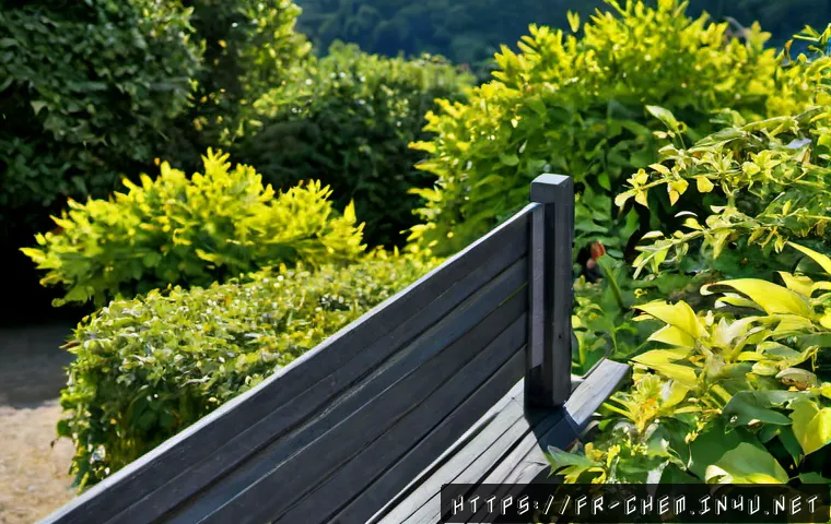Solide, liquide, gaz : comprendre les transformations et les observer simplement 4 물질의 상태 변화 관련 이미지 2